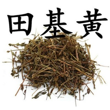田基黄供应上千种中药材