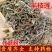 半枝莲供应上千种中药材
