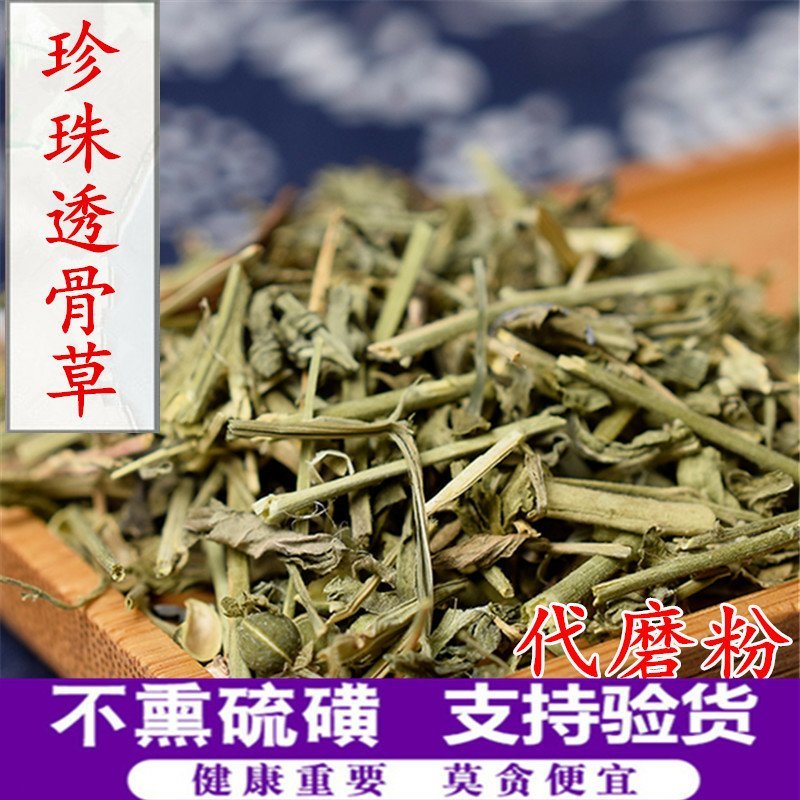 珍珠透骨草供应上千种中药材