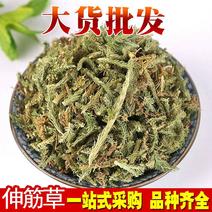 伸筋草供应上千种中药材