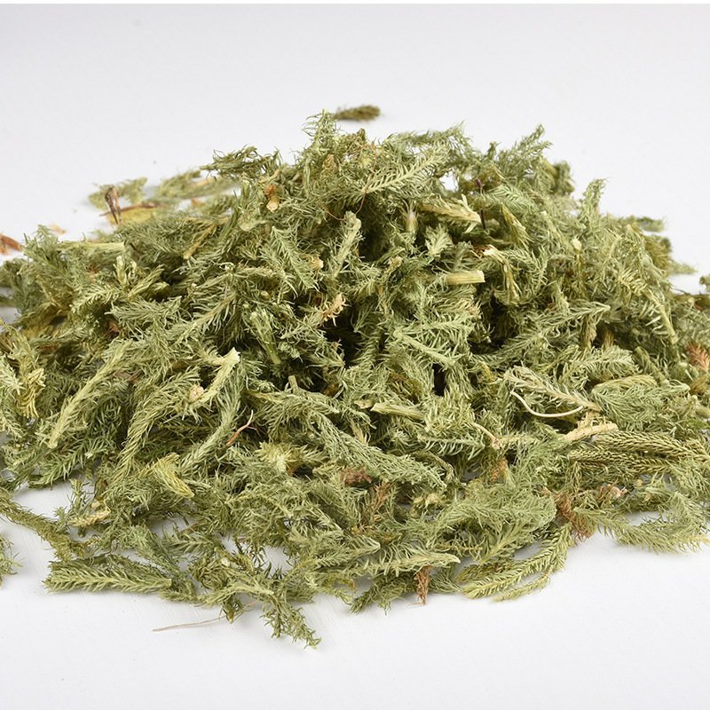 伸筋草供应上千种中药材