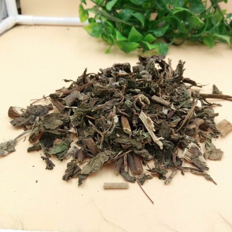 豨莶草豨签草供应上千种中药材