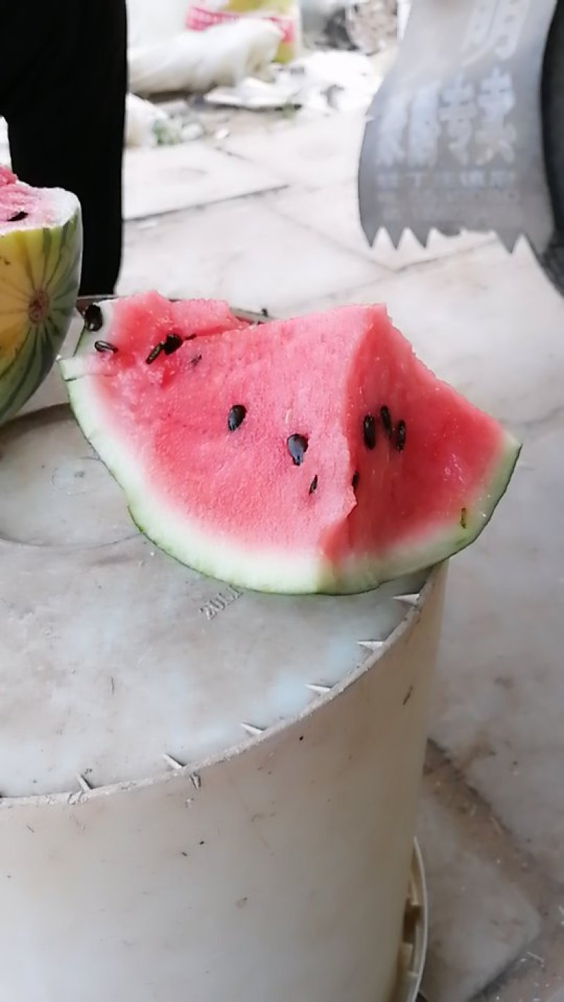 双星西瓜