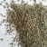 纯新牛膝籽牛膝种子无尘无杂好芽率