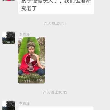 露天山豆根苗