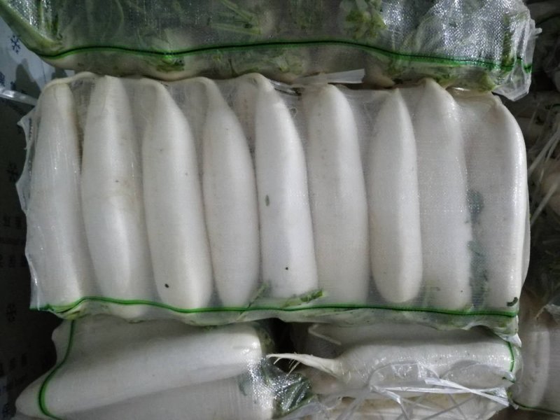 精品萝卜