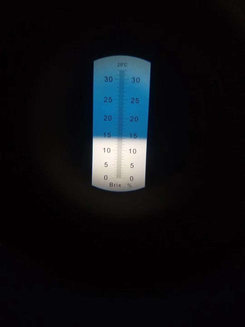 【精选】甜王西瓜皮薄个大拒绝生瓜产地供应包熟包甜