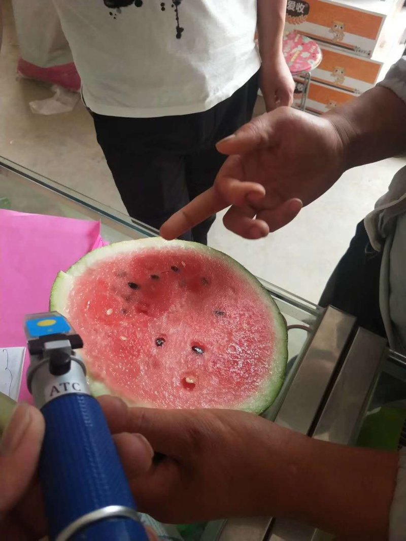 【精选】甜王西瓜皮薄个大拒绝生瓜产地供应包熟包甜
