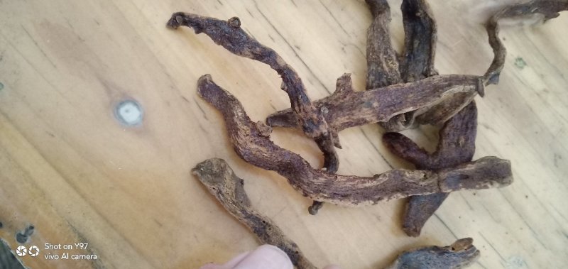 骨碎布