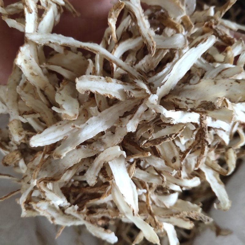 当归关书药业当归节过0.3筛新货