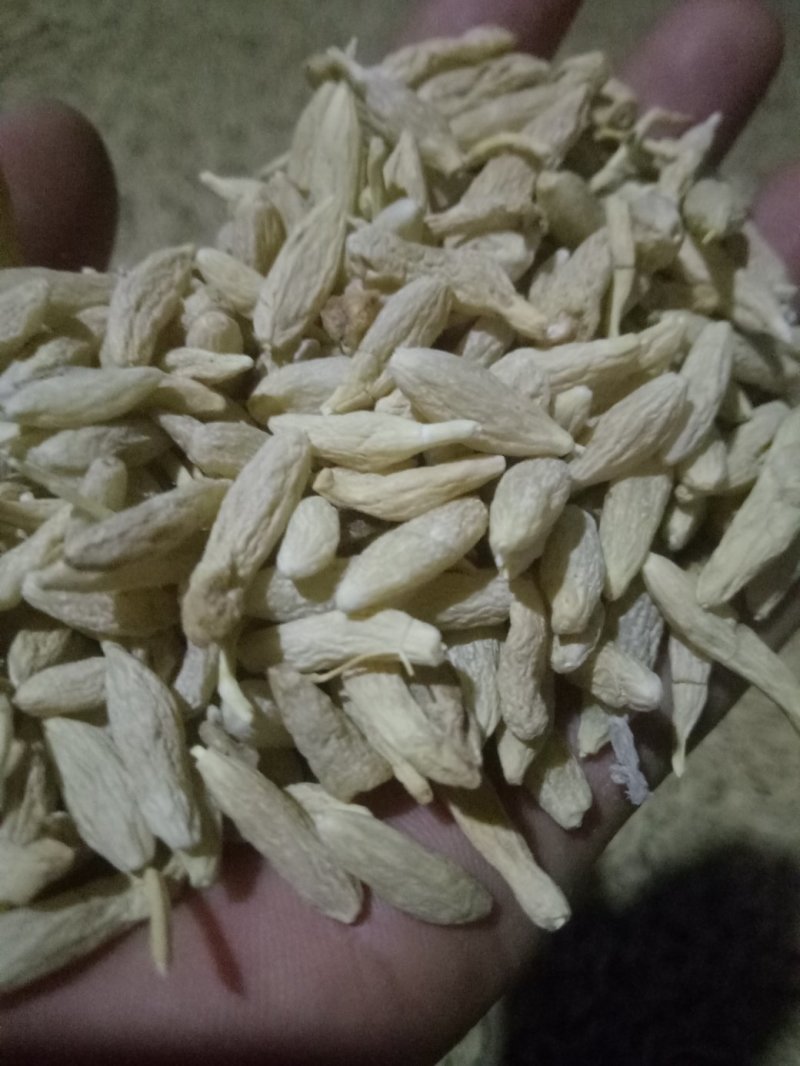 麦冬基地直销，质量保证，绝不使用农药，无硫磺