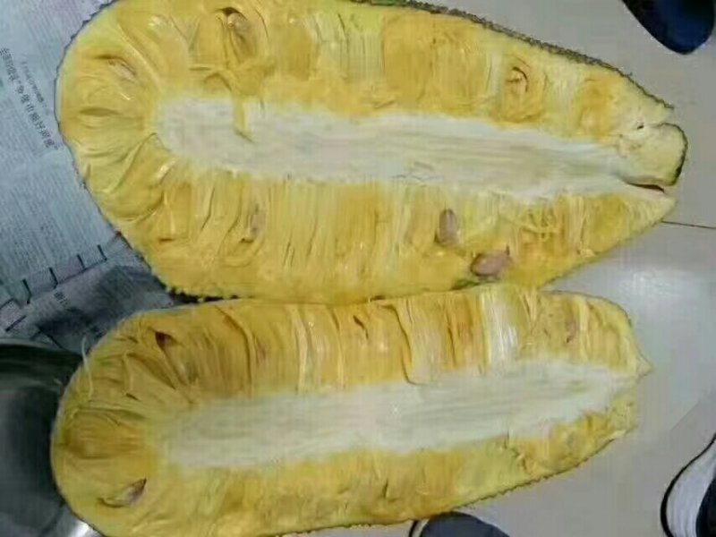 海南菠萝蜜