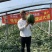 甜王西瓜
