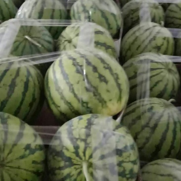 宜城市8424🍉花瓜，