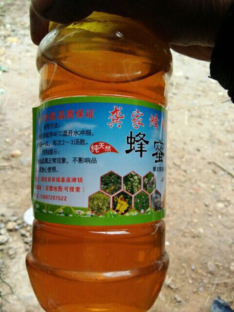意大利蜜蜂，快递包邮签收包活，蜜浆高产蜂种，适应性强。
