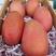 88元一件国内包邮海南热带水果红玉芒，在海南被称太子果。