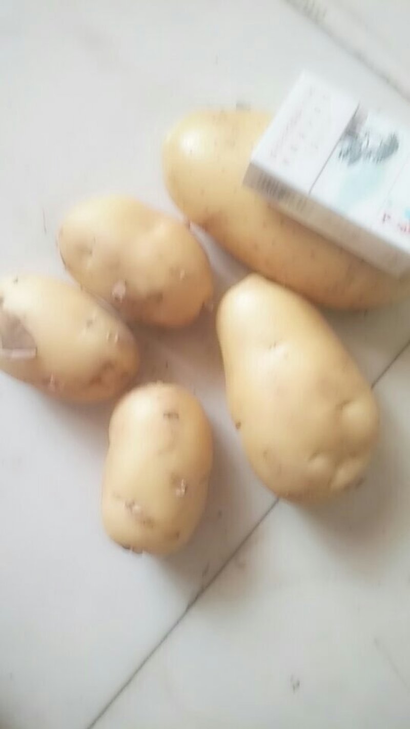 土豆大量上市