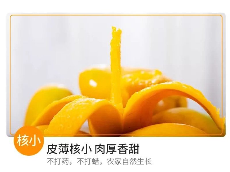 一件代发广西精品芒果
