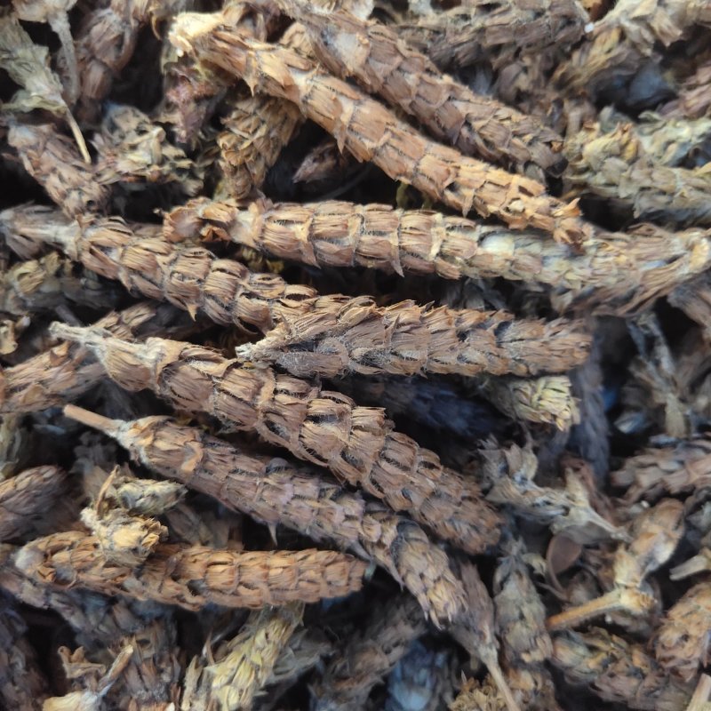 夏枯球，精选，手捡货，规格齐全关书药材桟品质保证！
