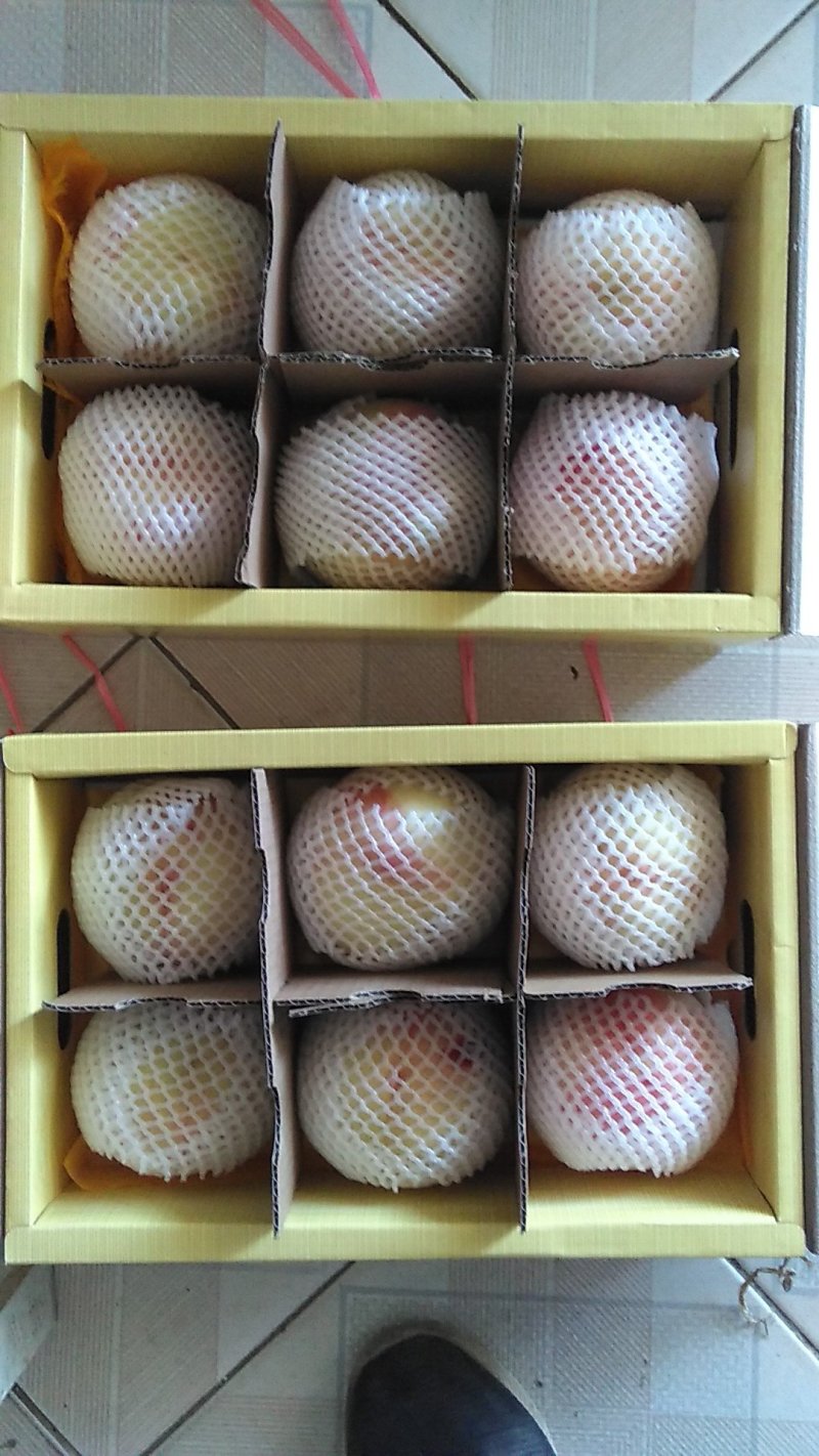 正宗阳山水蜜桃，6月10日起预售