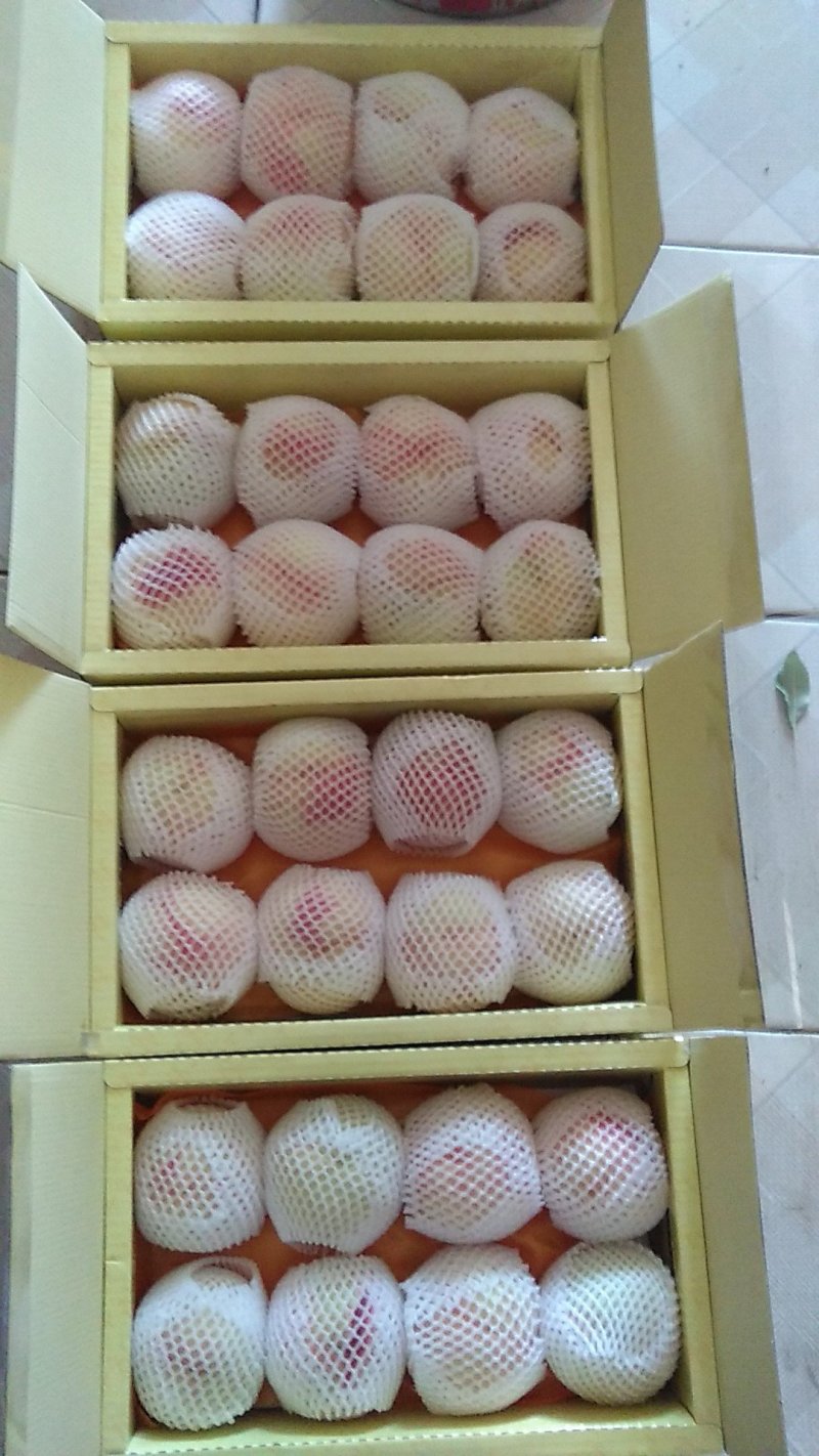 正宗阳山水蜜桃，6月10日起预售