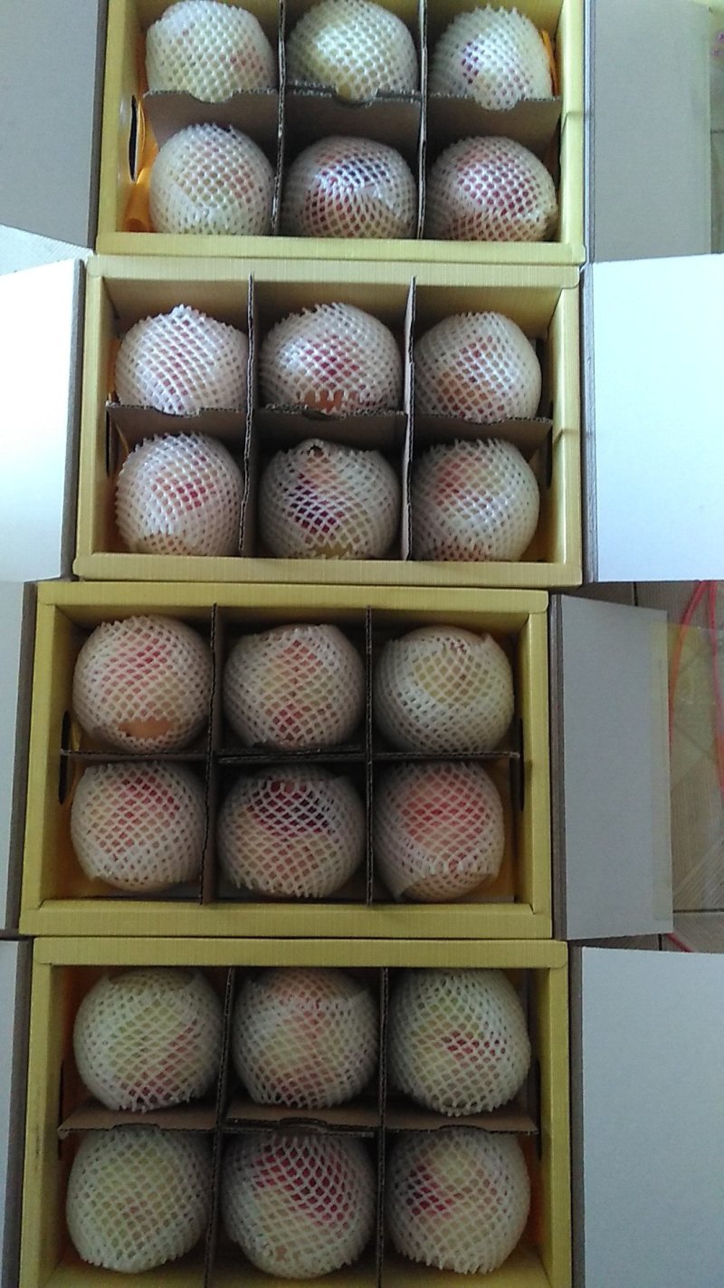 正宗阳山水蜜桃，6月10日起预售