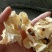 食用菌