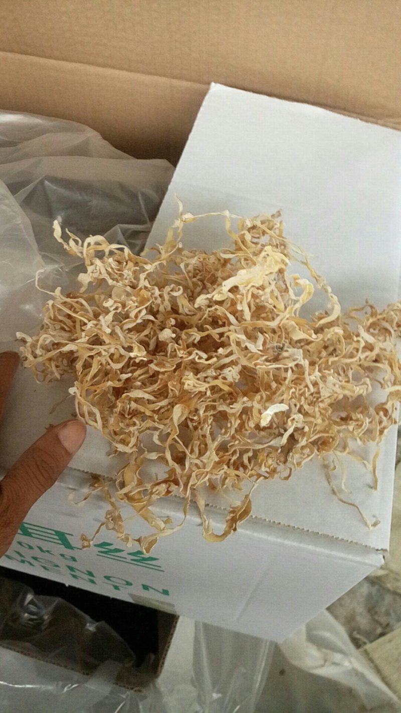 食用菌
