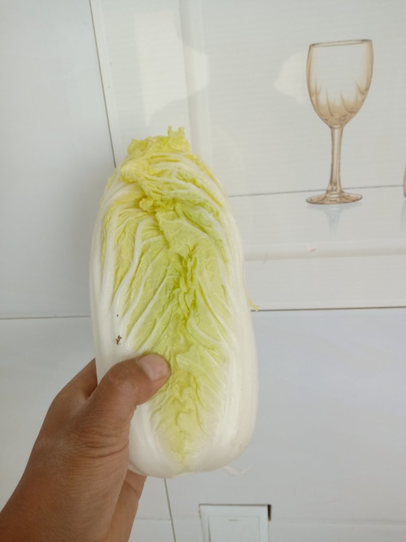 优质兰州高原娃娃菜热销中