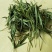 竹叶茶中药材淡竹叶
