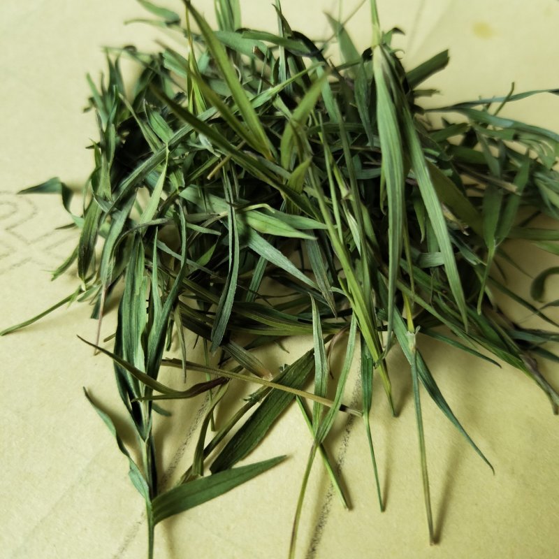 竹叶茶中药材淡竹叶