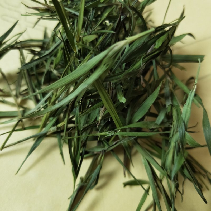 竹叶茶中药材淡竹叶