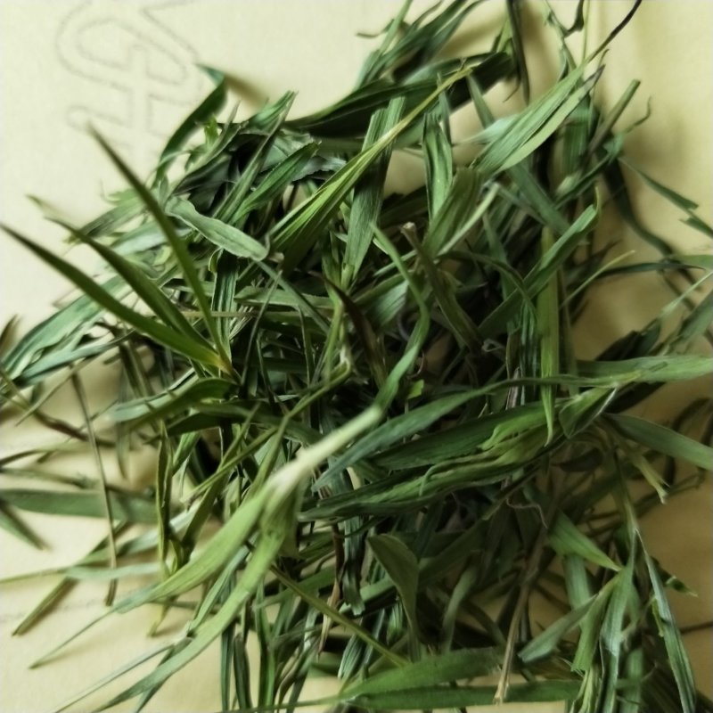 竹叶茶中药材淡竹叶
