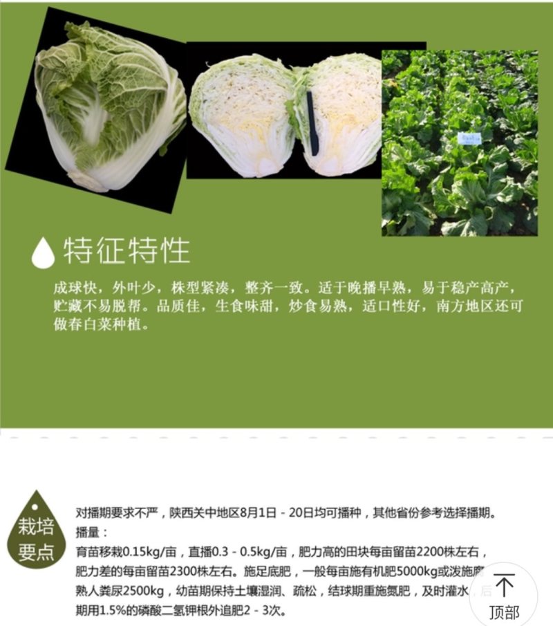 杨凌高科精纯秦白2号（秦白号二号升级品种）更好吃