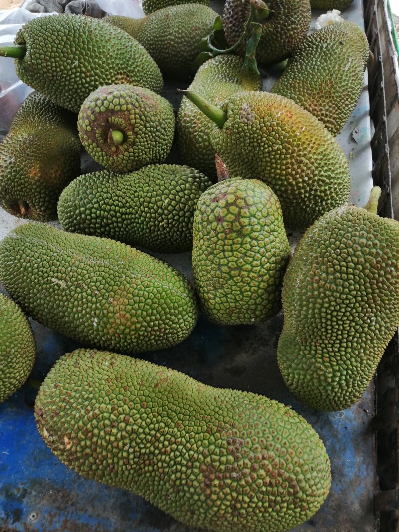 榴莲蜜