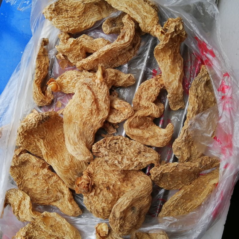 天麻