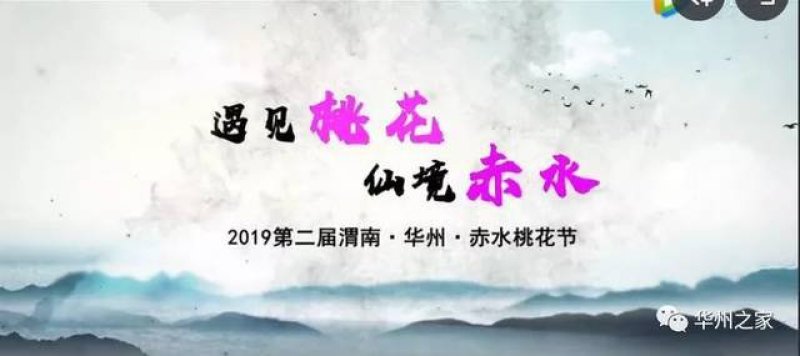 大量供应沙红毛桃.75起步