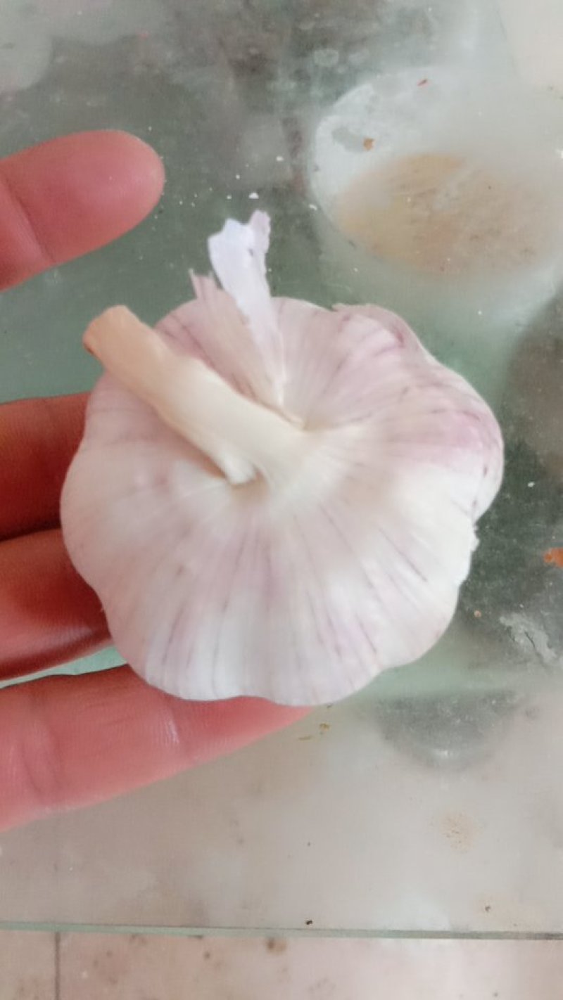 红蒜！个头均匀，紫红皮！八成干！有意者联系！