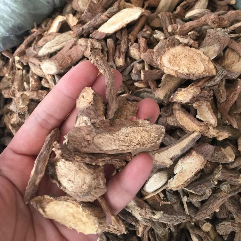 古羊藤供应上千种中药材