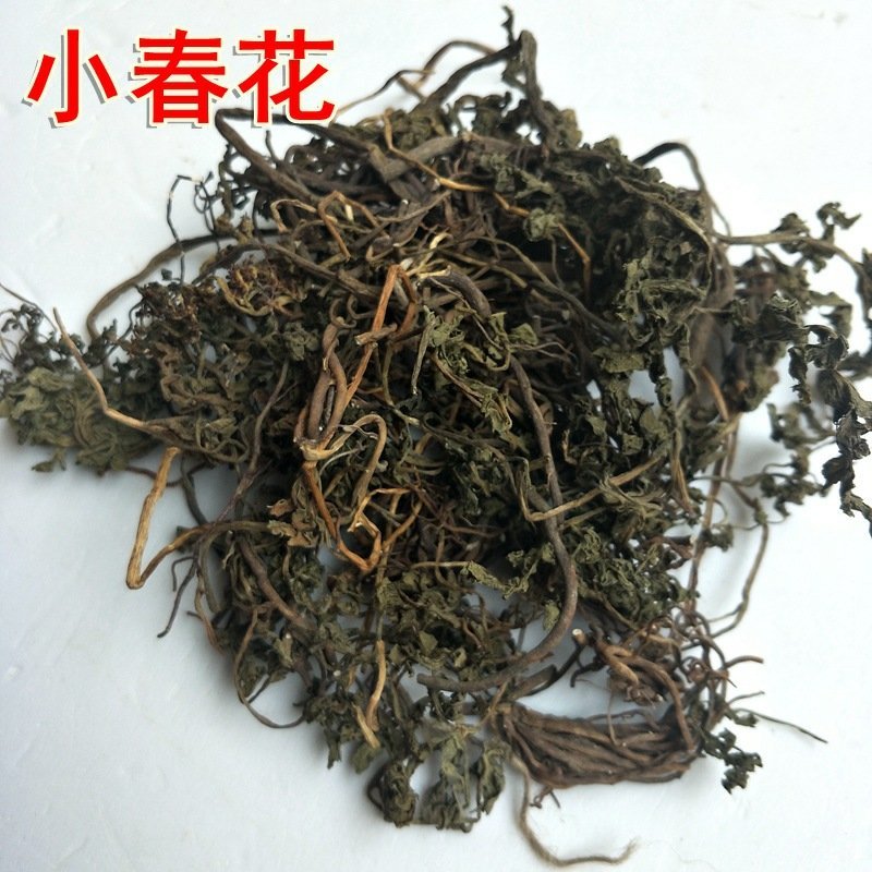 小春花阴地厥供应上千种中药材