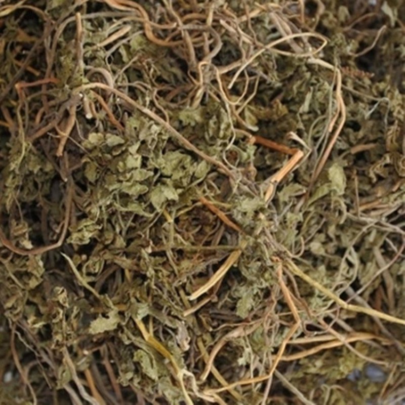 小春花阴地厥供应上千种中药材