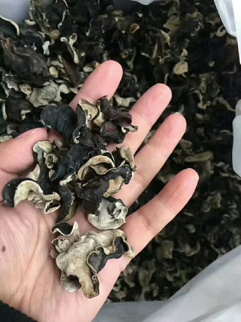 地摊江湖东北小木耳，质量好，一件60斤！毛木耳一件50斤