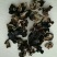 地摊江湖东北小木耳，质量好，一件60斤！毛木耳一件50斤