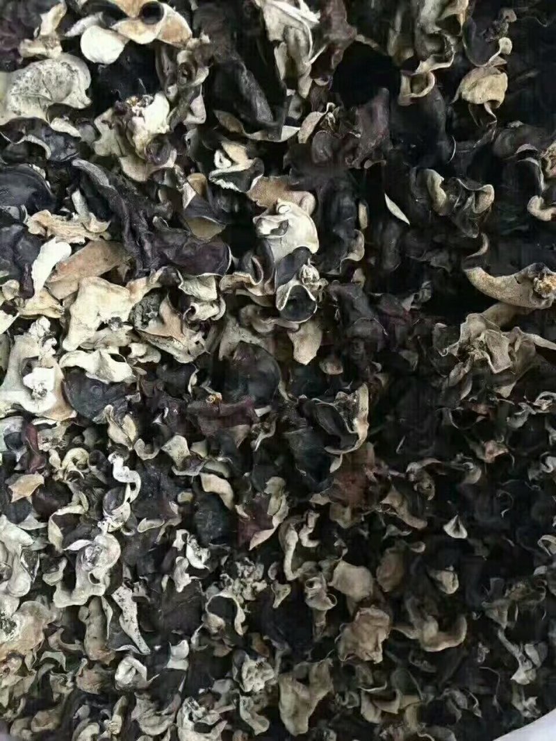 地摊江湖东北小木耳，质量好，一件60斤！毛木耳一件50斤