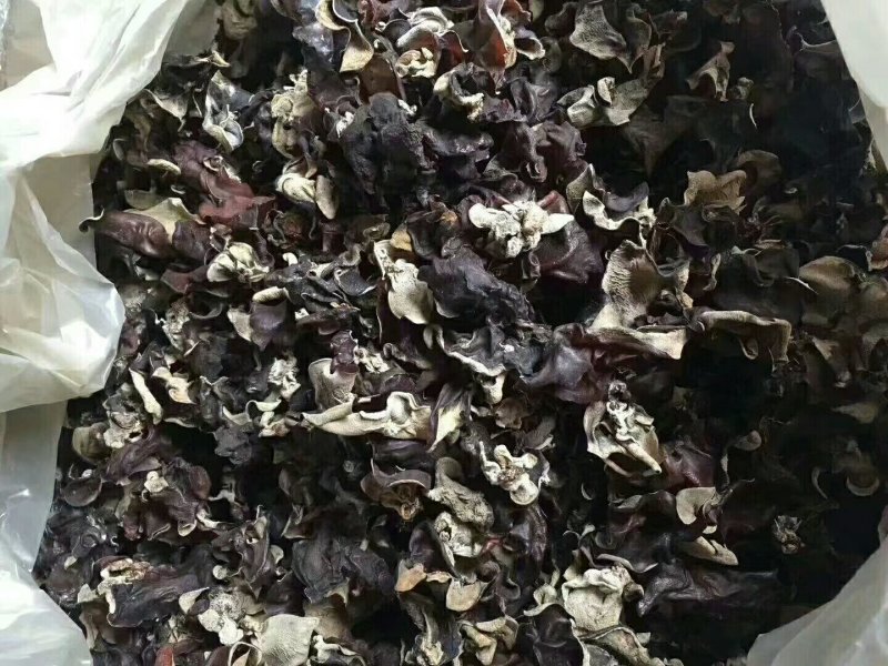 地摊江湖东北小木耳，质量好，一件60斤！毛木耳一件50斤