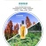 【包邮】人参鹿鞭酒人参酒滋补酒500ml42vol