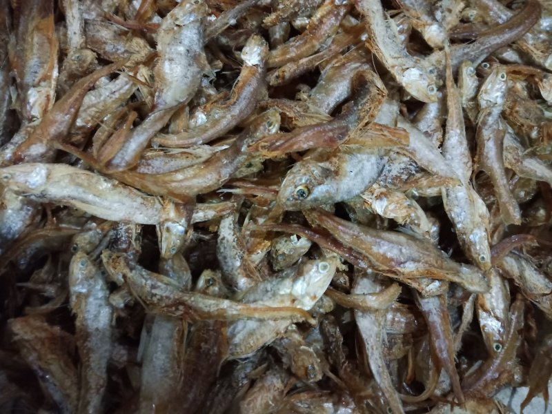 咸小鱼干