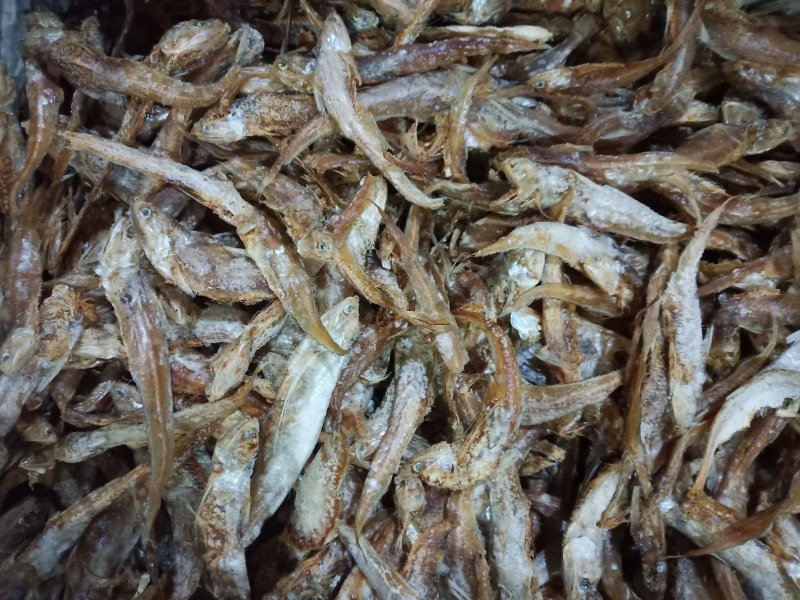 咸小鱼干