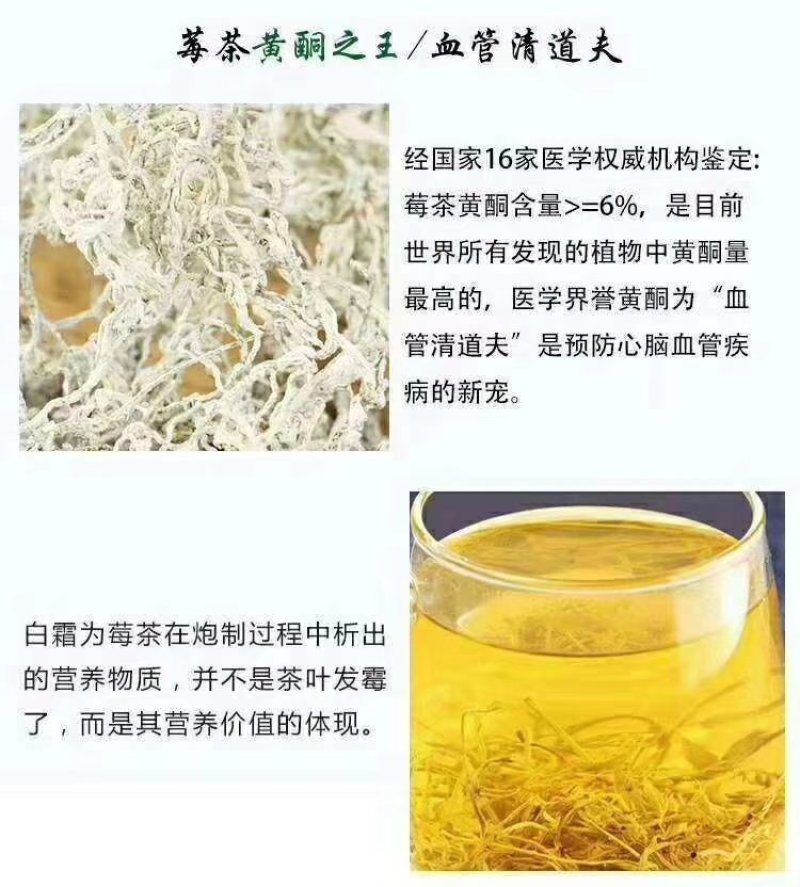 藤茶