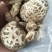 食用菌干货花菇